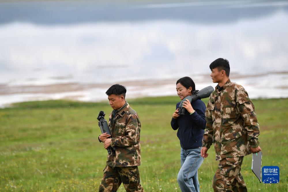 环球国际登录